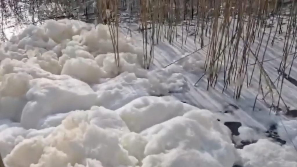 Fenomen rar pe litoral lacul care face spuma