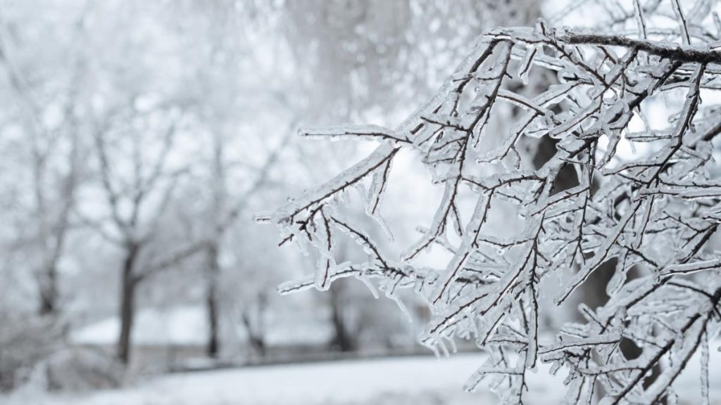 Frig si minus 15 grade Cod galben de vant puternic temperaturi in scadere
