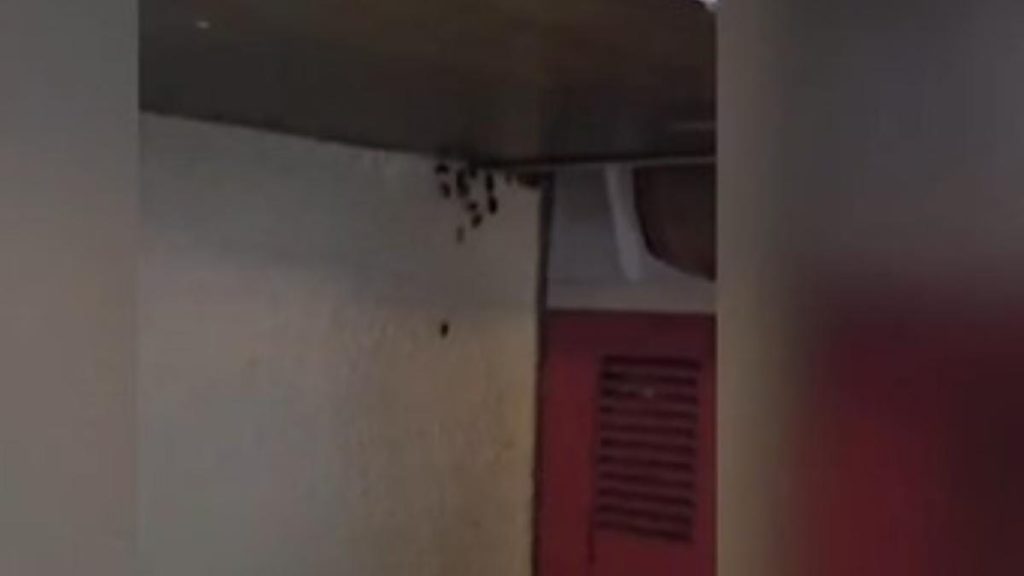 Beraria H din Bucuresti inchisa de ANPC Gandaci pe ustensile si in recipiente