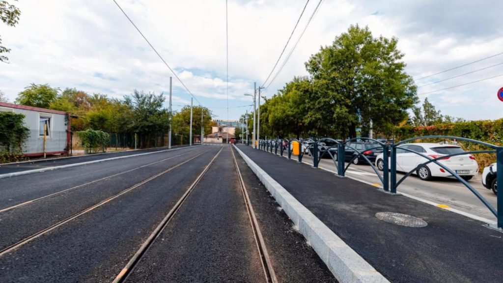 Defrisarea a 55 de arbori masura indispensabila pentru modernizarea liniei 5