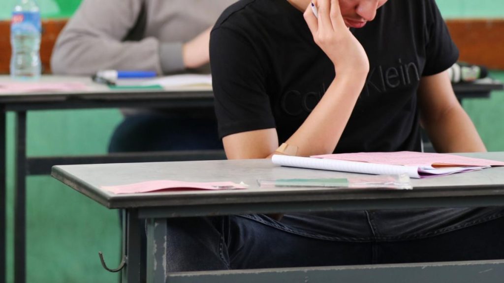 Simularea Bac 2025 incepe Proba la Romana astazi