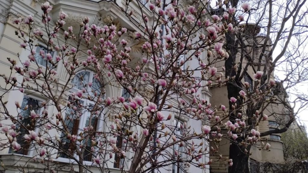Temperaturi ridicate in Bucuresti anuntate de meteorologi