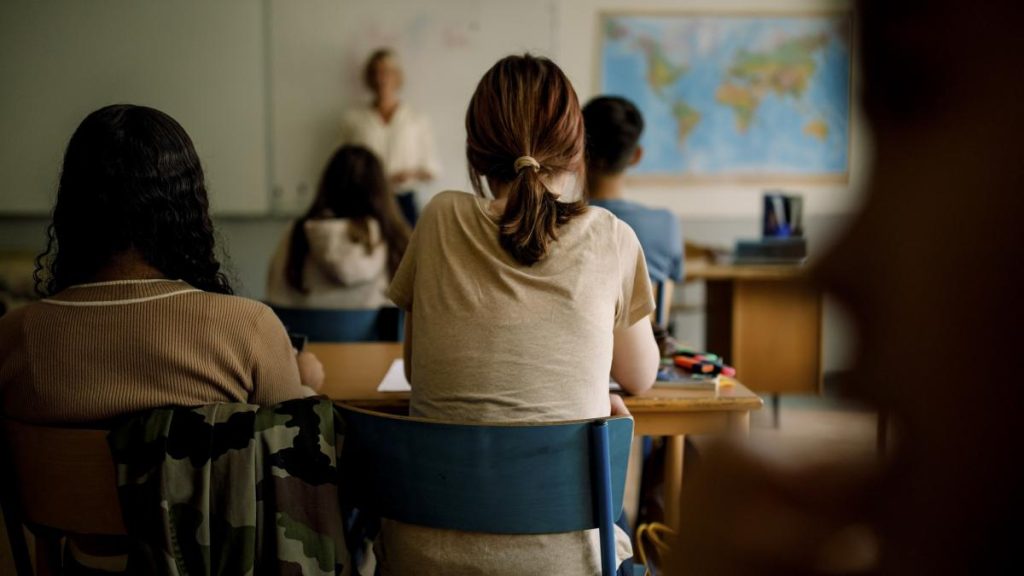Gradinitele si scolile fara putere in fata profesorilor agresivi Comisia de evaluare a cadrelor didactice este doar formala