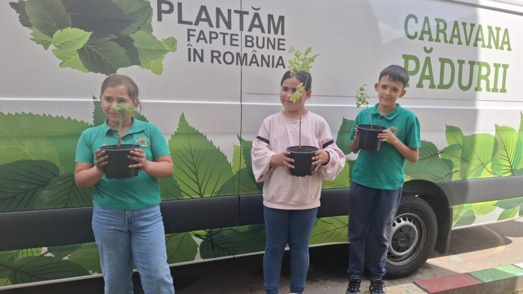 Saptamana Solidaritatii peste 1500 beneficiari 54 voluntari 28 actiuni