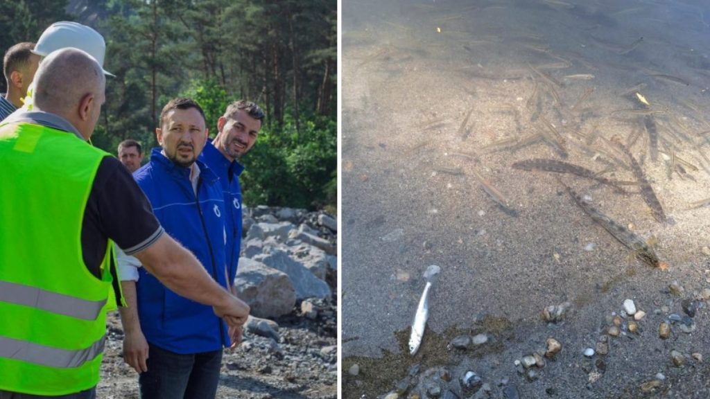 Dezastru ecologic la Tarnava Mica Mor pestii
