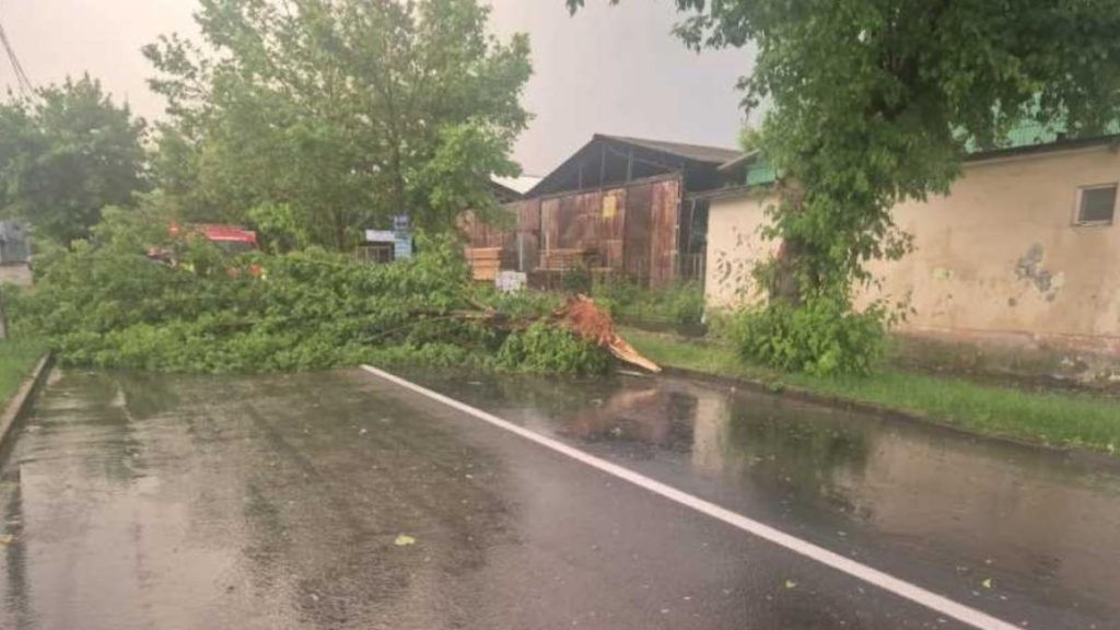 Furtuna violenta in Mures fulger copaci cazuti masini avariate