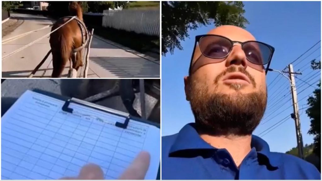 Instructorul da letii de condus caruta cu calul