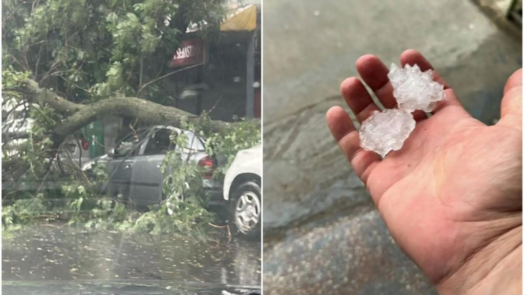 Ploile si grindina au devastat tara inundatii si copaci doborati