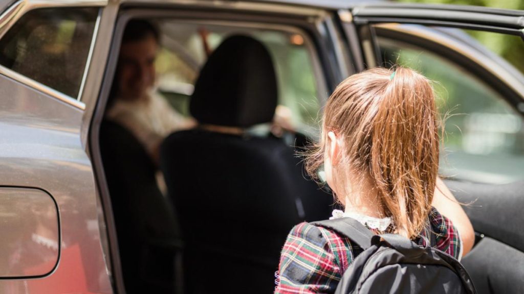Profesorul sofer de ride sharing care a socat Oradea
