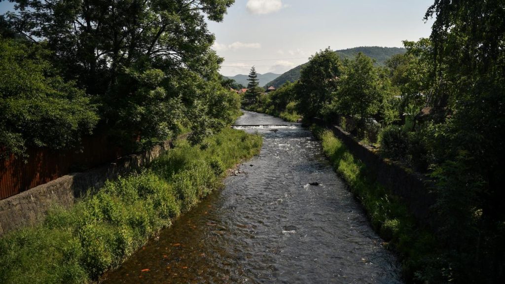ecosistemul de pe tarnava mica este distrus complet