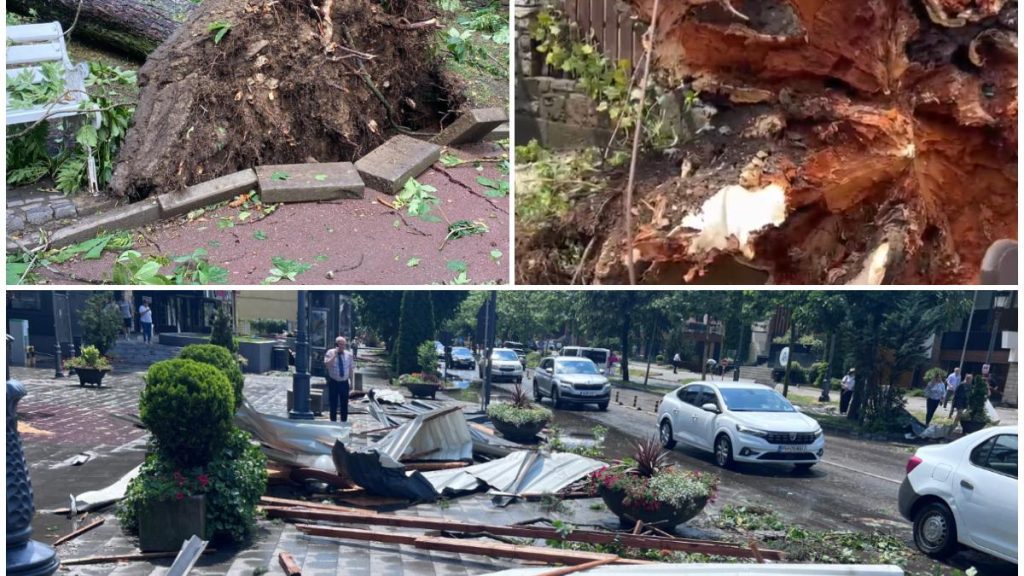 O tornada a distrus toti copacii din Sinaia