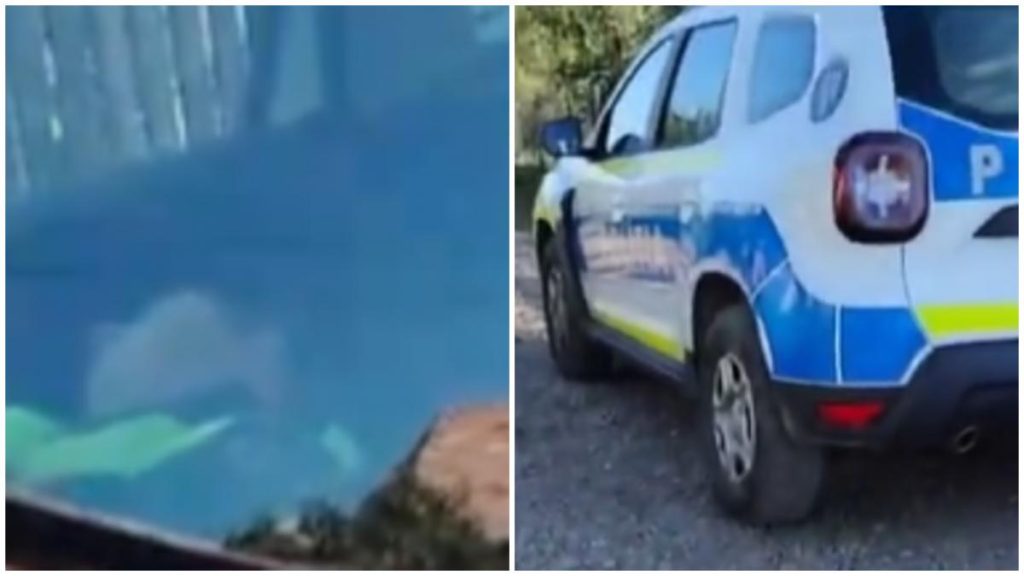 Politisti suprinsi dormind in fata casei