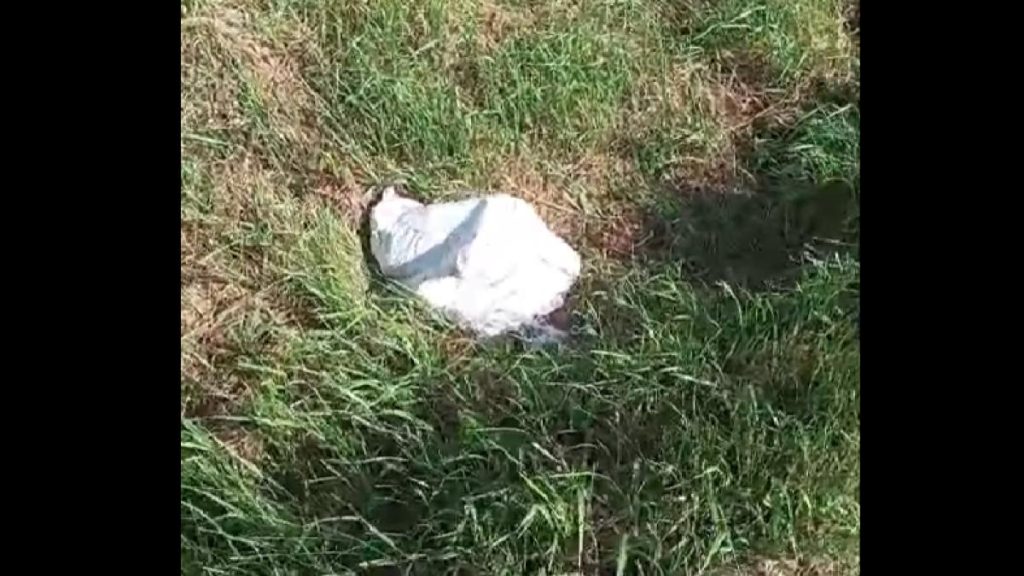 cruzime extrema catelusi abandonati intr un sac