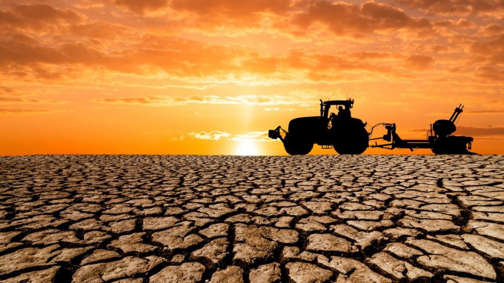 seceta crunta in mai multe judete canicula peste 40C