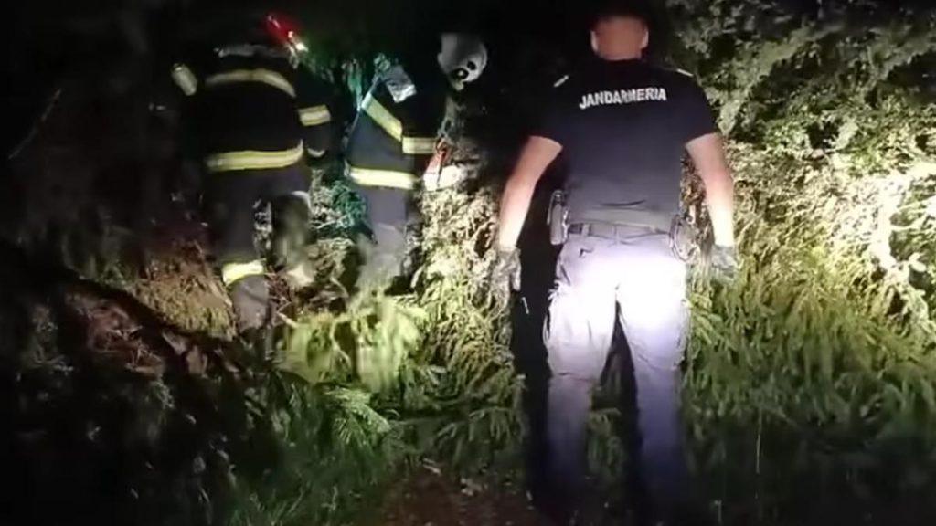 tragedie la competitia montana participant mort sub un copac