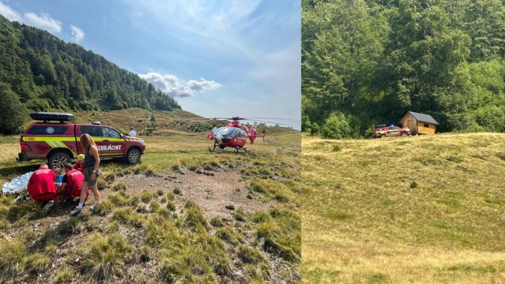 Copilul de 7 ani muscat de sarpe in Maramures