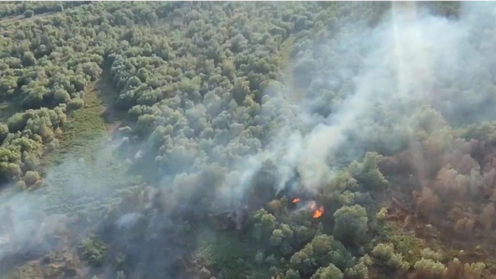 Incendiu in Chilia Veche ard 6 hectare de vegetatie