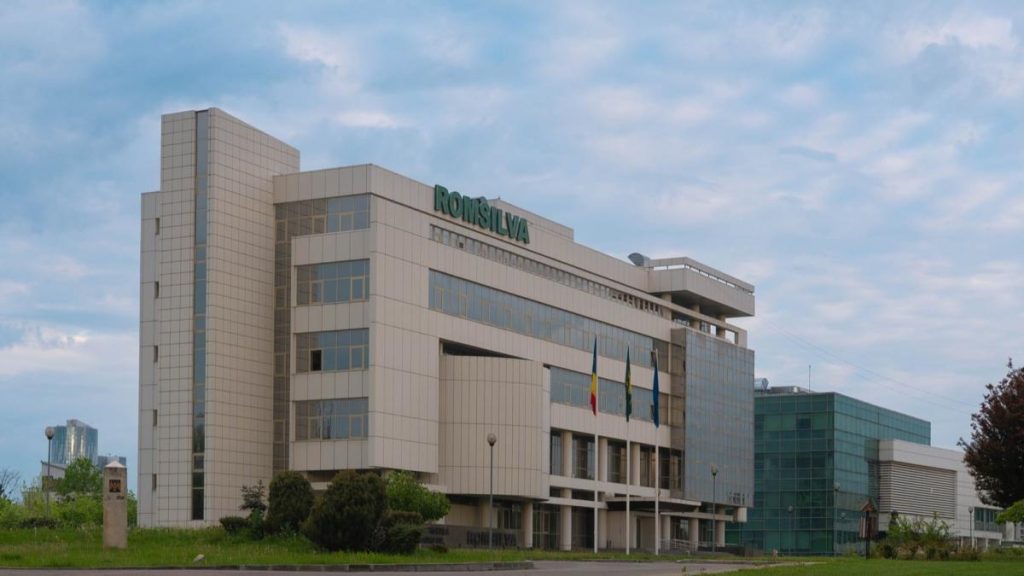 Romsilva angajeaza director pentru 5 luni anunt pe Facebook