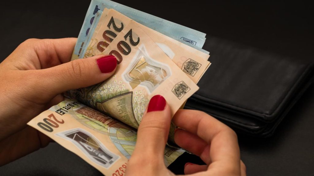 Cu cat ar putea creste salariul minim anul viitor