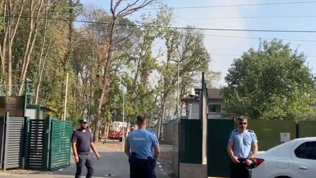 Incendiu la Grdina Zoologica Bucuresti foc extins pe 2000 mp