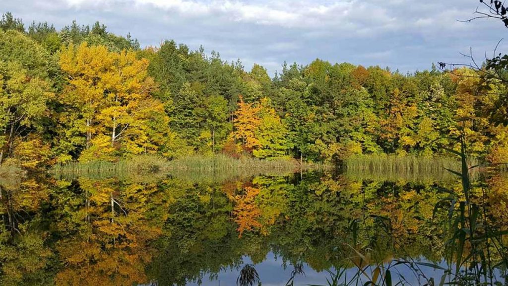 Lacul Meledic comoara geologica in pericol de seceta