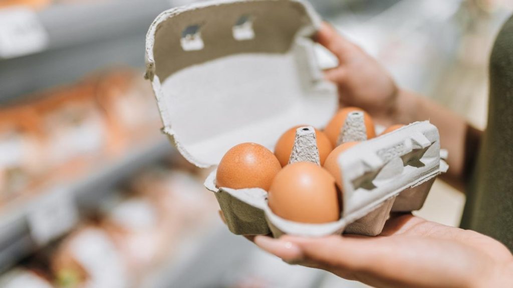 Retragerea urgenta a oualor bio din cauza Salmonella