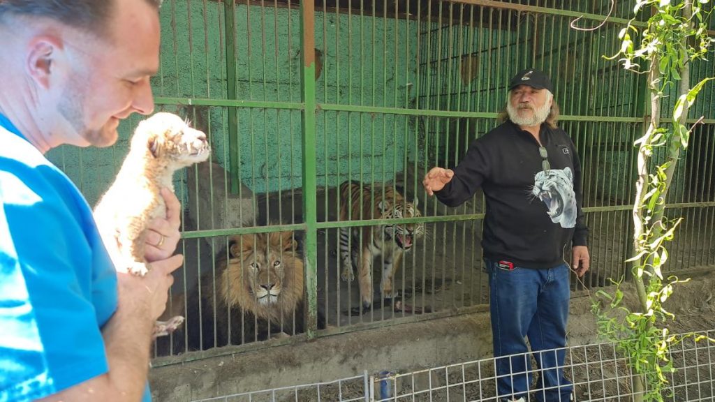 Un copil de 5 ani a fost muscat de ligru la Zoo